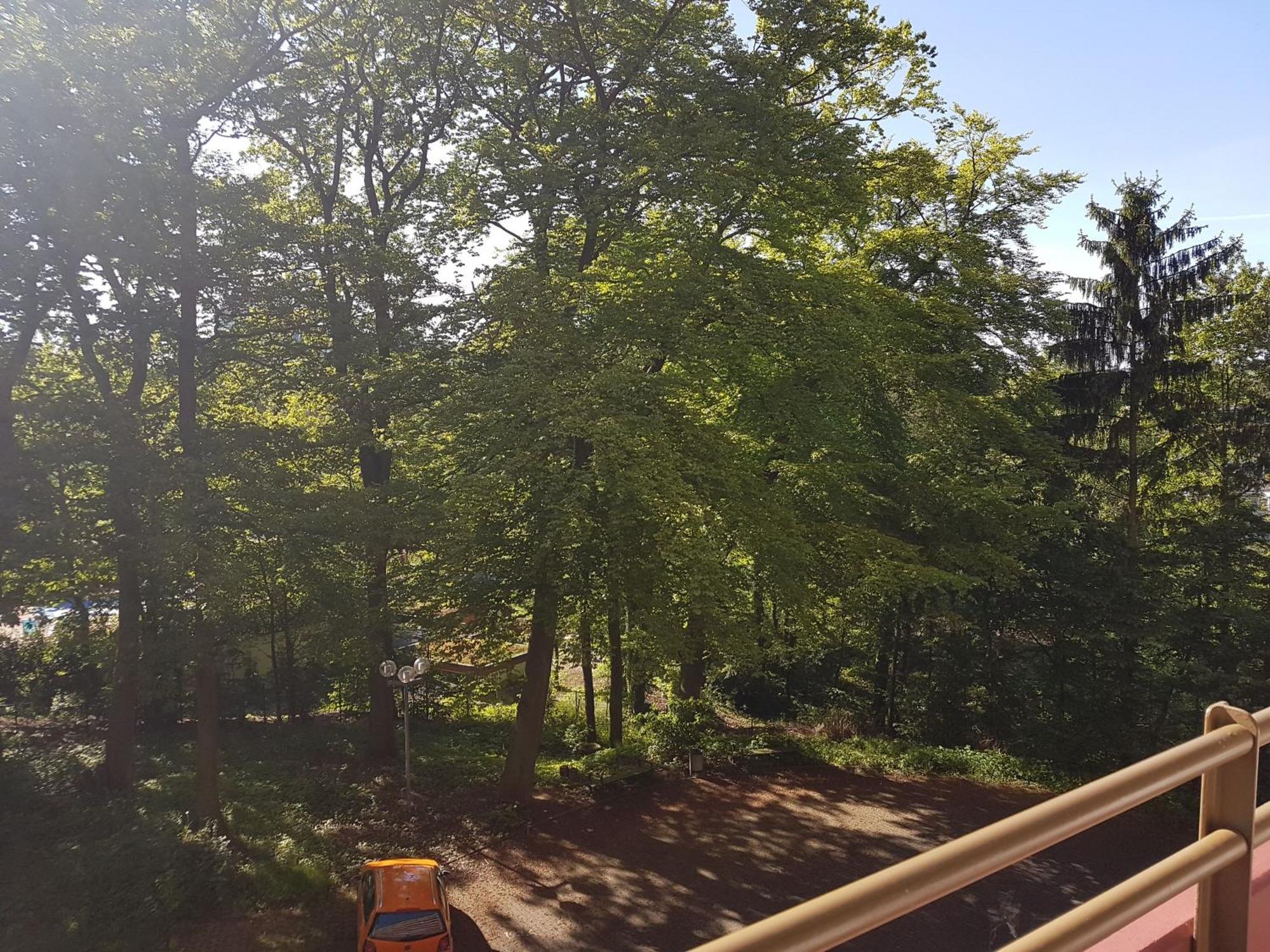 Apartment 707 Mit Pool Und Sauna Lahnstein Eksteriør billede